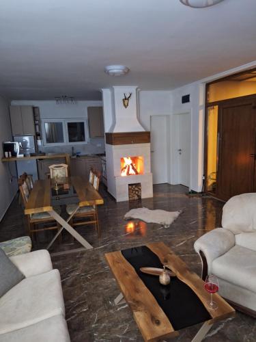 a living room with a couch and a fireplace at Slatinska idila - kuća sa bazenom in Bunar