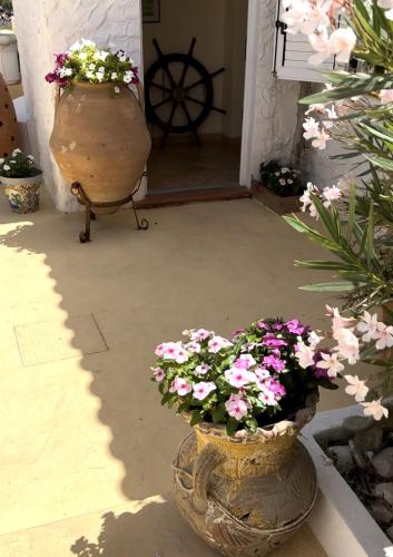 two large vases filled with flowers on a porch at Oasi Di Casablanca in Lampedusa