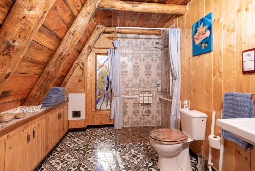 bagno con servizi igienici e doccia in camera di Cabaña Triangulo - Tierra de Arte a San Jorge