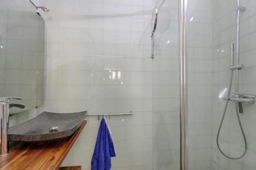 a bathroom with a shower and a sink at Les bamboos de Malakoff Paris in Malakoff