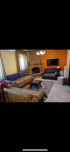 a living room with a couch and a fireplace at Καραναστάση in Elassona