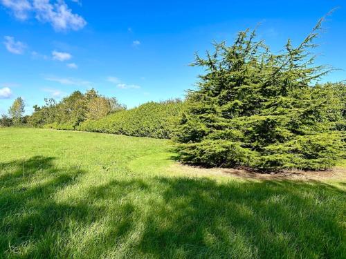 Naturlandskabet i nærheden af feriehuset