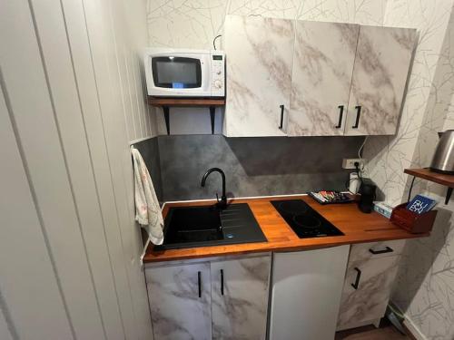 une cuisine avec un évier et un micro-ondes dans l'établissement Appartement Gare-Centre-Rouen, à Rouen