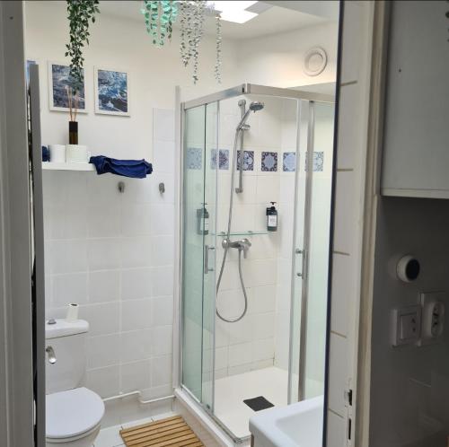 une salle de bain avec douche et toilettes dans l'établissement L' effet mer, à Dunkerque