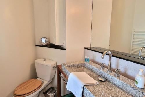 une salle de bain avec toilettes, lavabo et miroir dans l'établissement Duplex double terrasses 4P, à Paris