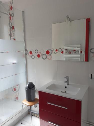 une salle de bain avec un lavabo et un miroir dans l'établissement Appartement Collet d'Allevard, à Allevard