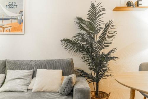 - un palmier dans le salon avec canapé dans l'établissement Cosy apartment with terrace near Bordeaux, à Mérignac