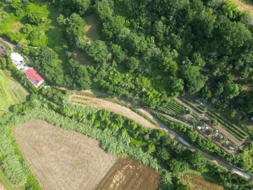 an overhead view of a farm with a field and trees at Agriturismo le Fontane - Lago di Bolsena in Grotte di Castro