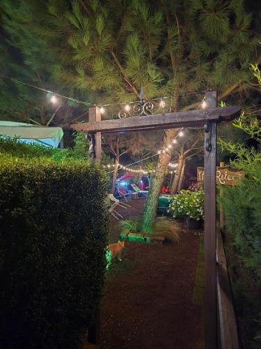 a wooden arch with lights in a garden at night at Agriturismo le Fontane - Lago di Bolsena in Grotte di Castro