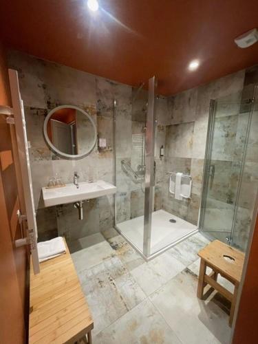 a bathroom with a shower and a sink at Hotel Le Bois Joli in Bernex
