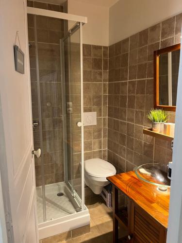 une salle de bain avec toilettes et douche en verre dans l'établissement Les Estives, à Cauterets