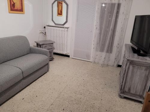 un salon avec un canapé et une télévision dans l'établissement Les chouchous, à Orange