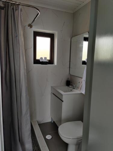 a bathroom with a toilet and a sink and a window at Ocean View Cedros in Santa Cruz das Flores