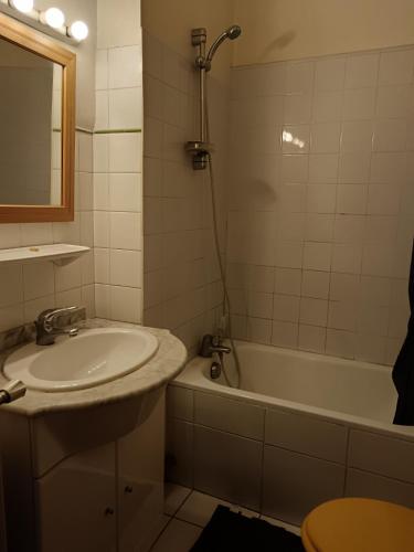 une salle de bain avec un lavabo et une baignoire dans l'établissement Appartement centre Toulouse, à Toulouse
