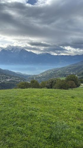 a field of green grass with mountains in the background at Villetta con giardino in Doues