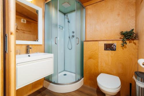 a bathroom with a shower and a toilet and a sink at Aurora Igloo South in Hella