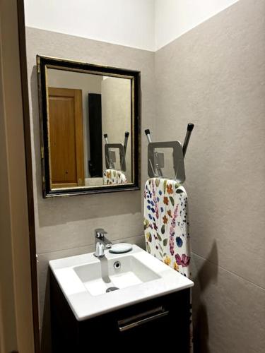 une salle de bain avec un lavabo et un miroir dans l'établissement Studio terrasse Villa Odette, à Toulouse