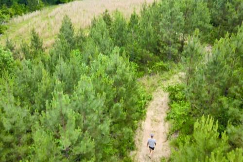 a man walking down a dirt road through a forest at Entire Glamping Campground, 8 Luxury Safari Tents in Cadiz