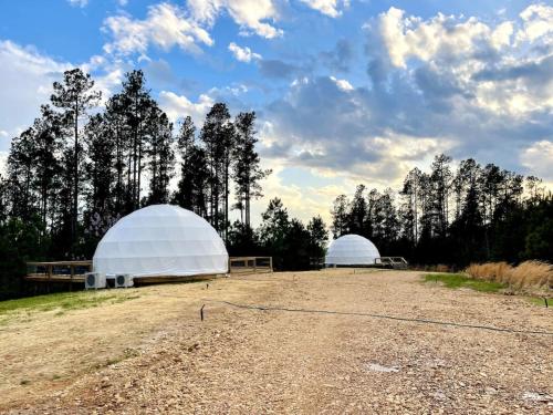 two domes in a field with trees in the background at The Prince Dome at Nine Pines in Cadiz