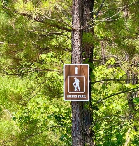 a hiking trail sign on a tree in a forest at Entire Glamping Campground, 8 Luxury Safari Tents in Cadiz