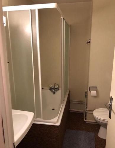 une salle de bain avec une douche, un lavabo et des toilettes dans l'établissement Nid douillet La Salle les Alpes, Serre Chevalier, à La Salle Les Alpes
