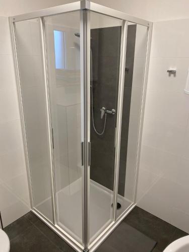 a shower with a glass door in a bathroom at JK Apartmány in Bělkovice