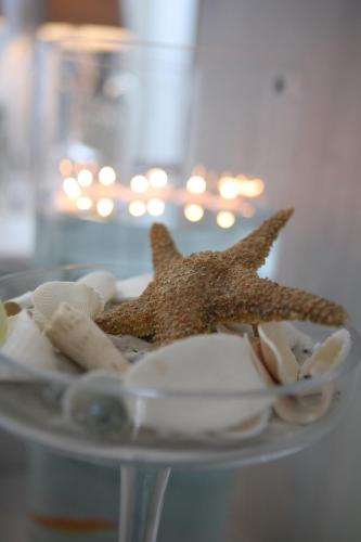 a starfish sitting on top of a plate with shells at Aqua Mare Hotel in Nea Kalikratia