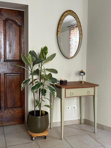 une plante assise à côté d'une table et d'un miroir dans l'établissement 'Petit Béguin' au coeur d'Uzès, à Uzès