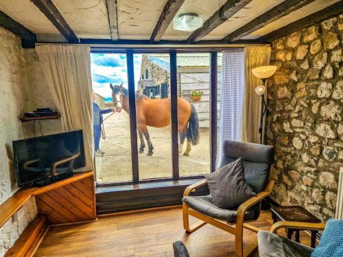 a horse standing outside a window in a living room at Clyne Farm Centre in The Mumbles