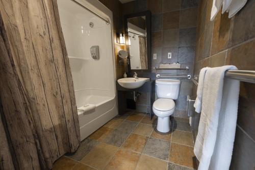 a bathroom with a toilet and a sink and a tub at Auberge de Montagne des Chic-Chocs Mountain Lodge - Sepaq in Sainte-Anne-des-Monts