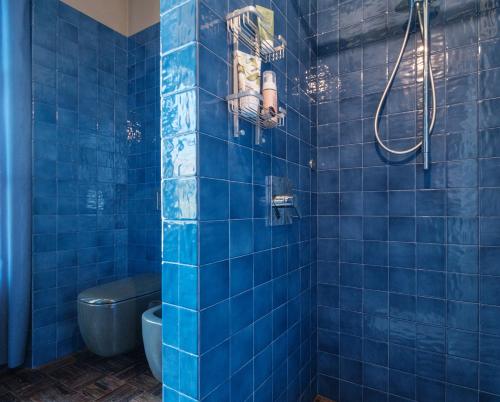 a blue tiled bathroom with a toilet and a shower at Podere San Pasquale - La Vigna in Castiglione dʼOrcia