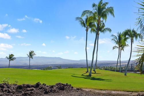 a group of palm trees on a golf course at Golf Villas At Mauna Lani A3 in Waikoloa