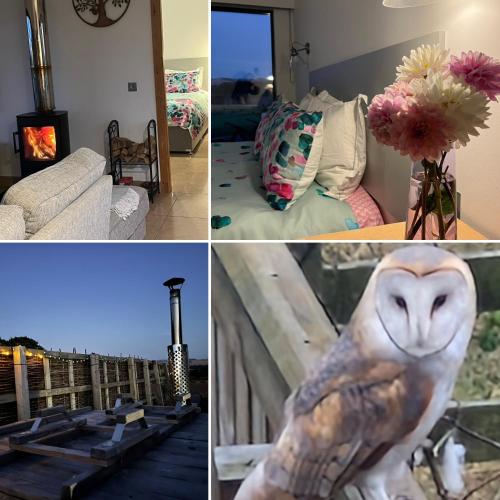 a collage of pictures of a living room and a room at Tweed Hideaway in Kelso
