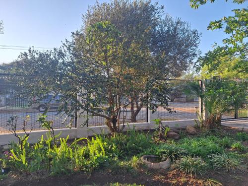 Taman di luar Cosy Cottage on Boom - Loadshedding Friendly