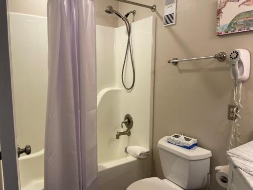 a bathroom with a shower curtain and a toilet at Three Ridges 74 with Wintergreen Advantage in Wintergreen