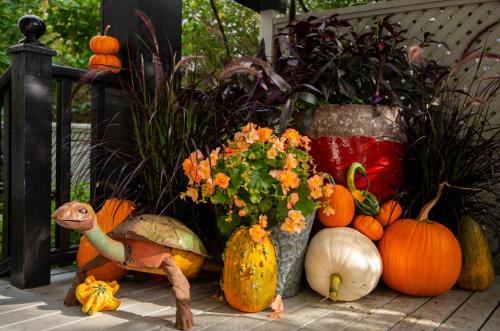 a group of pumpkins and vases on a porch at Hearthside Inn in Bar Harbor