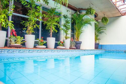 Bazén v ubytování Prestige Manaus Hotel nebo v jeho okolí