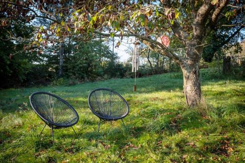 two tennis rackets sitting in the grass next to a tree at ENJOY COZY NEST View Hills Garden Forest Sauna Hottub in Jablonné v Podještědí