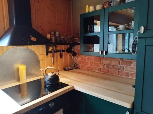 a kitchen with green cabinets and a brick wall at ENJOY COZY NEST View Hills Garden Forest Sauna Hottub in Jablonné v Podještědí