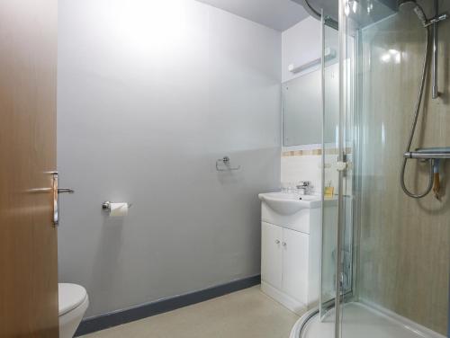 a bathroom with a shower and a toilet and a sink at Drysgol Lakeside - Bala Lake in Bala