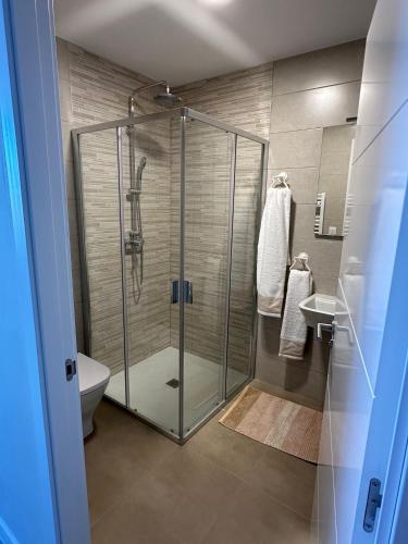 a bathroom with a shower and a toilet and a sink at Malteses in A Guarda