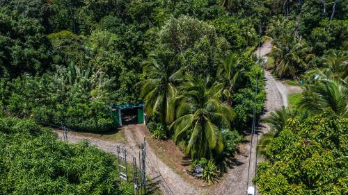 an aerial view of a jungle with palm trees and a road at Playa Grande Lodge & Tree House in Cahuita