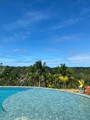 a large swimming pool with palm trees in the background at La Maison Loosaï -Amφur- sans TV in Itacaré