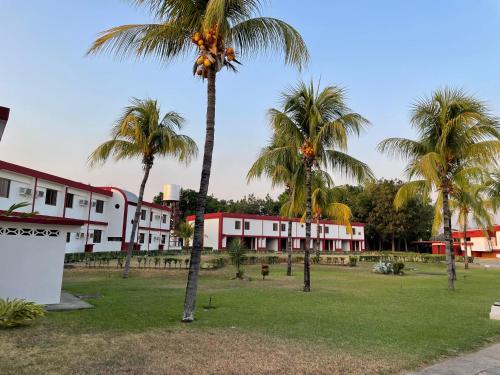 a group of palm trees in front of a building at Hotel Espor CA in Barinas
