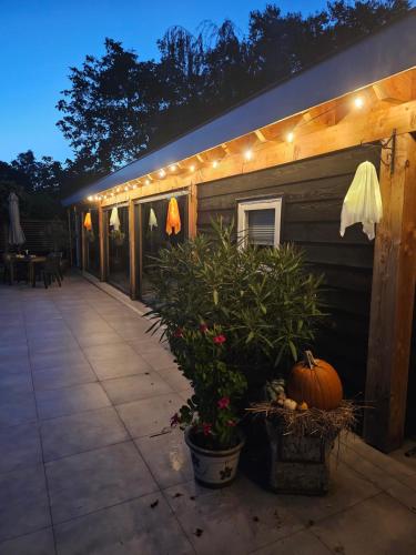 a porch with a pumpkin and lights on a house at Ham Annex met privé jacuzzi in Almelo