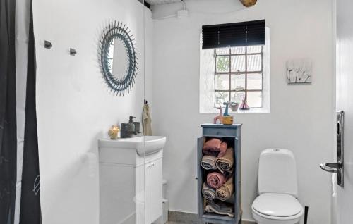 a bathroom with a toilet and a sink and a window at Beautiful Home In Grenaa With Wifi in Grenå