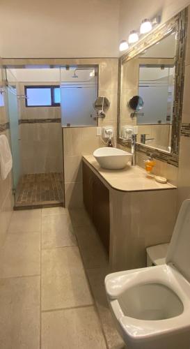 a bathroom with a toilet and a sink and a shower at La Buena Vibra Retreat and Spa Hotel in Tepoztlán
