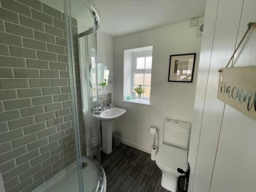 a bathroom with a shower and a toilet and a sink at Marigold Cottage in West Down