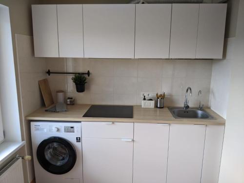 a kitchen with a washing machine and a sink at Ezerkrasta apartamenti in Liepāja