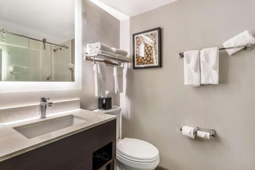 a bathroom with a sink and a toilet and a mirror at Best Western Atlanta-Marietta Ballpark Hotel in Atlanta